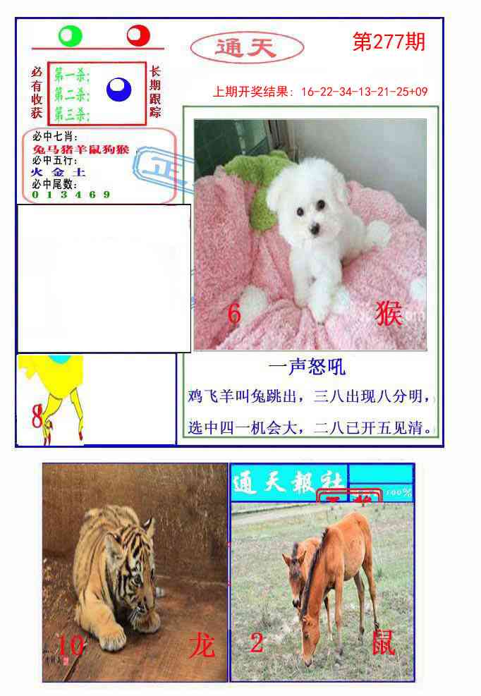 277期通天杀波图2[图]