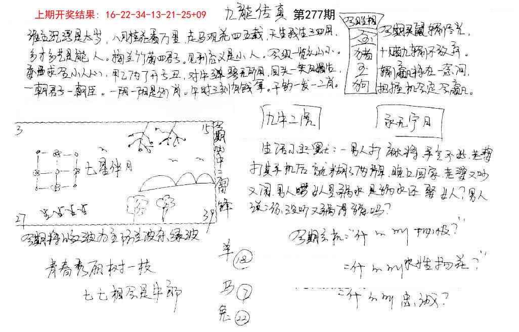 277期手写九龙内幕[图]