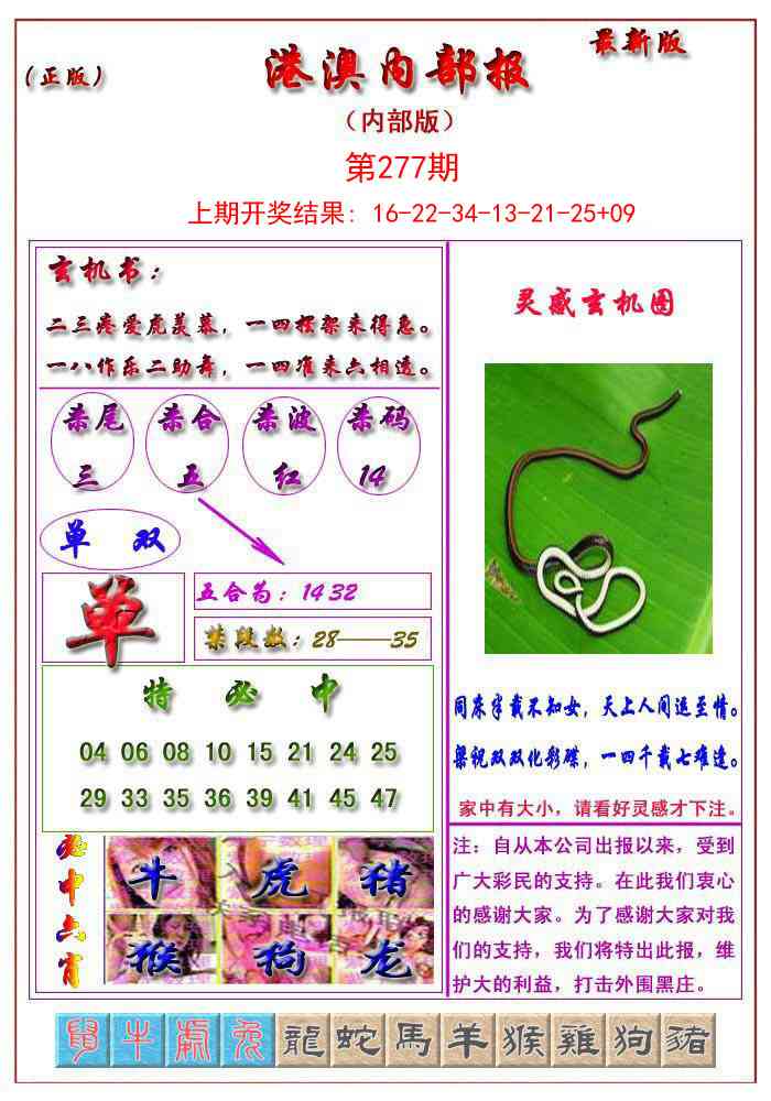 277期港澳报[图]