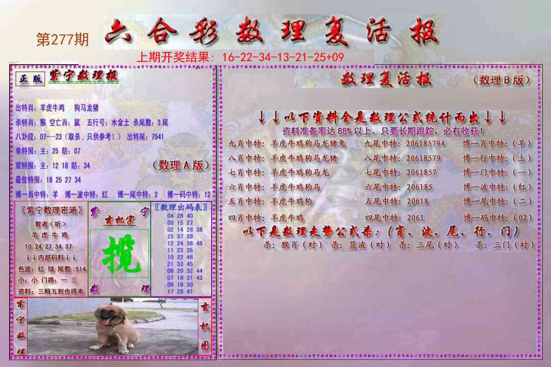 277期数理复活报[图]