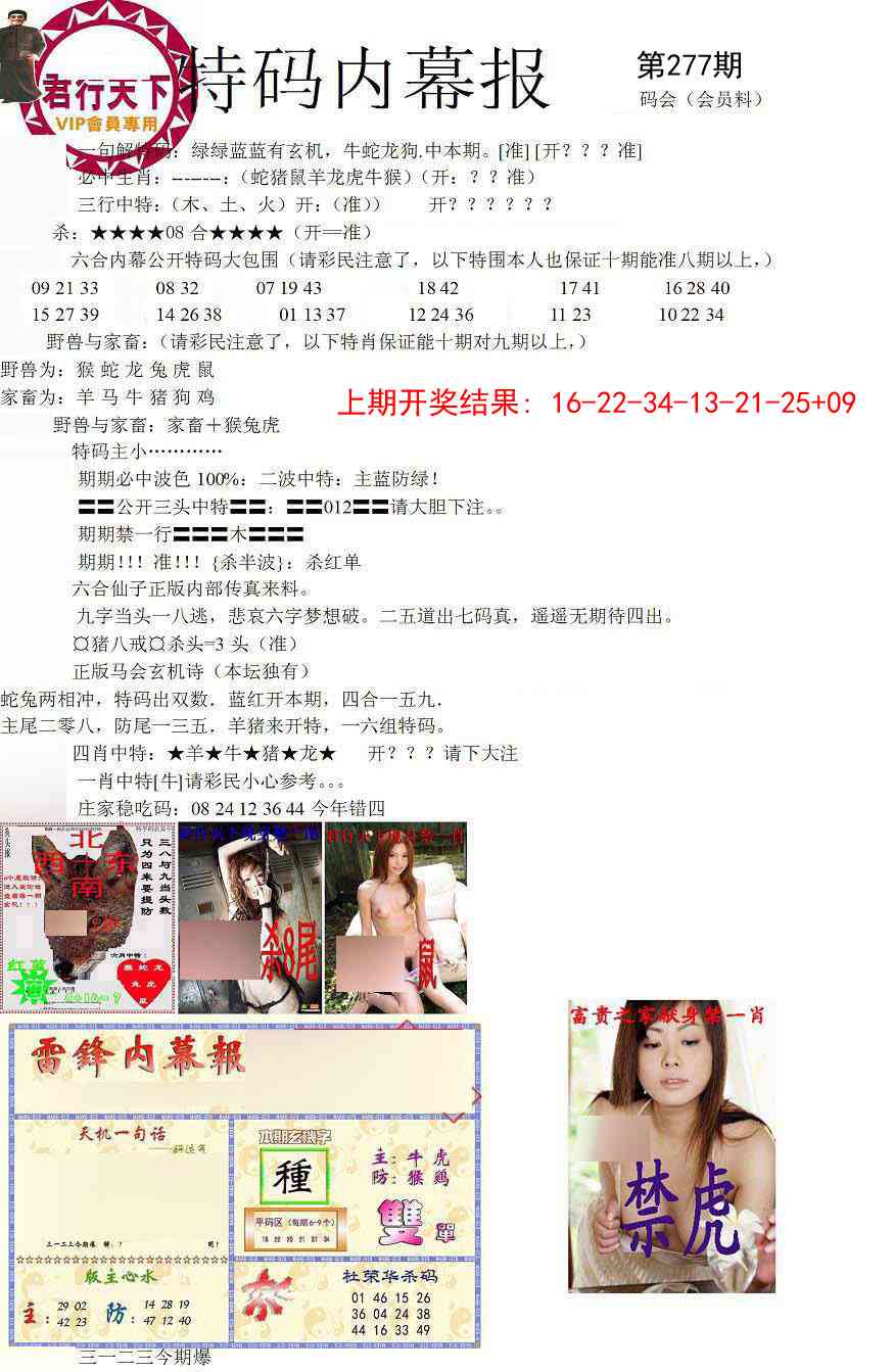 277期特码内幕报[图]