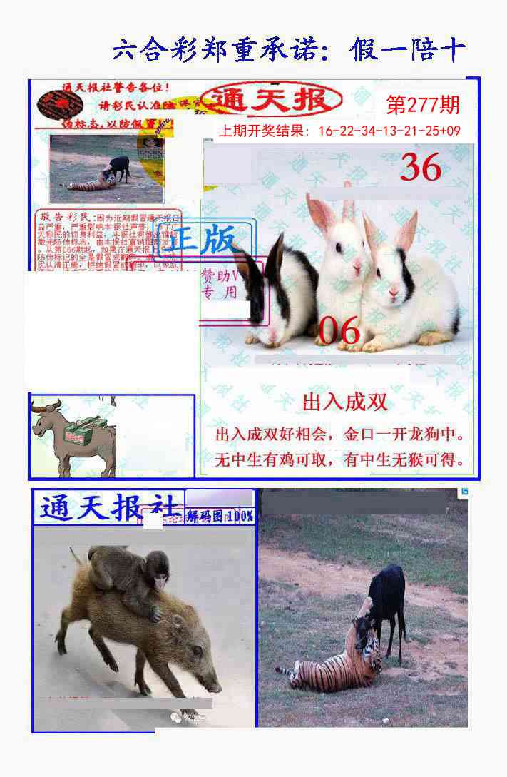 277期假一陪十通天报[图]