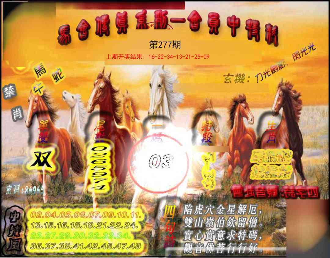 277期马会传真-会员报[图]