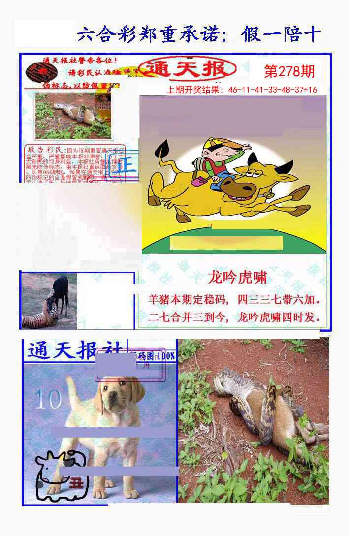 278期假一陪十通天报[图]