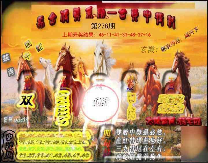 278期马会传真-会员报[图]