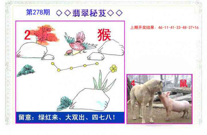 278期翡翠报[图]