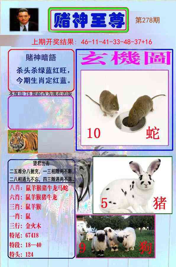 278期赌神至尊[图]