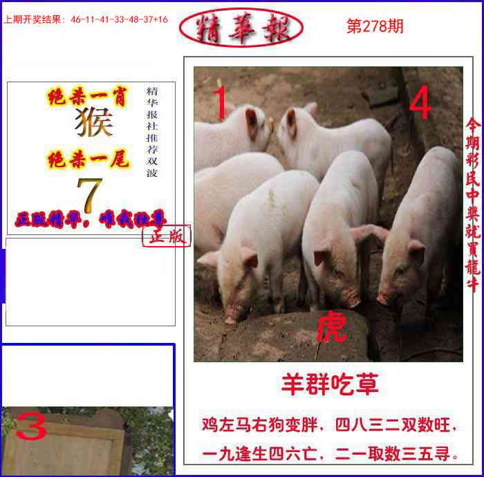 278期新精华报报[图]