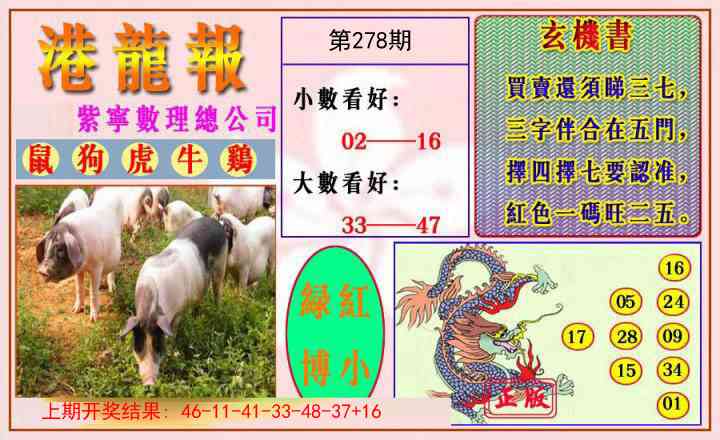 278期港龙报[图]