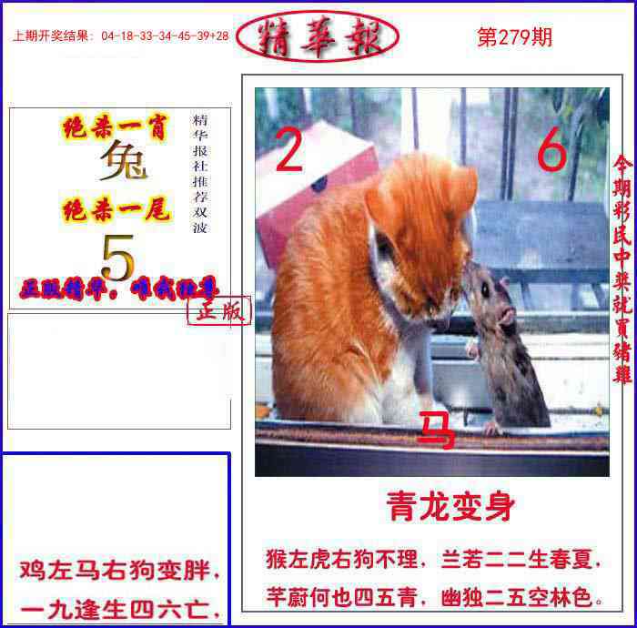 279期新精华报报[图]