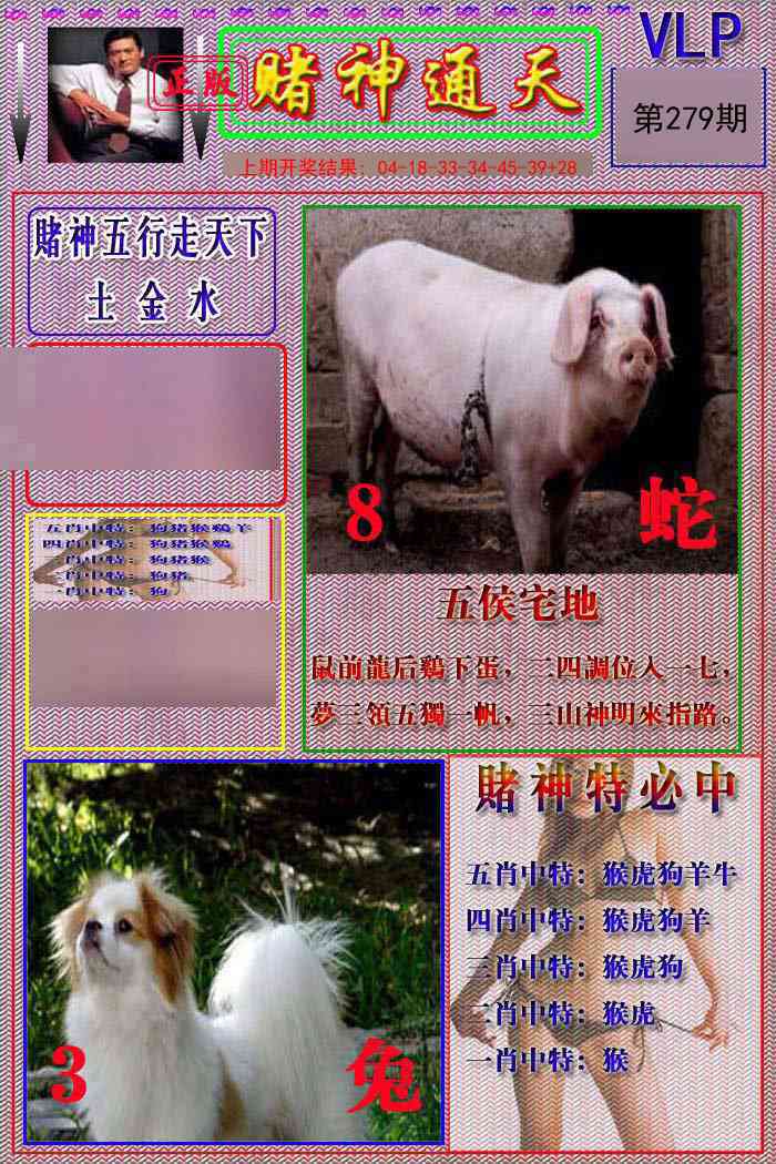 279期赌神通天报[图]
