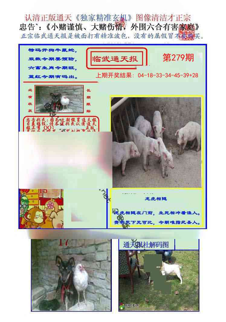 279期临武通天报[图]