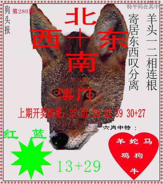 280期狗头报[图]