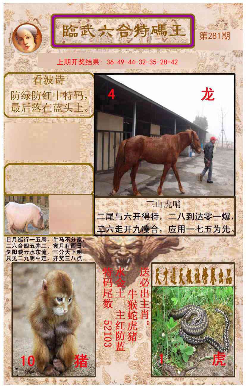 281期临武六合特码王[图]