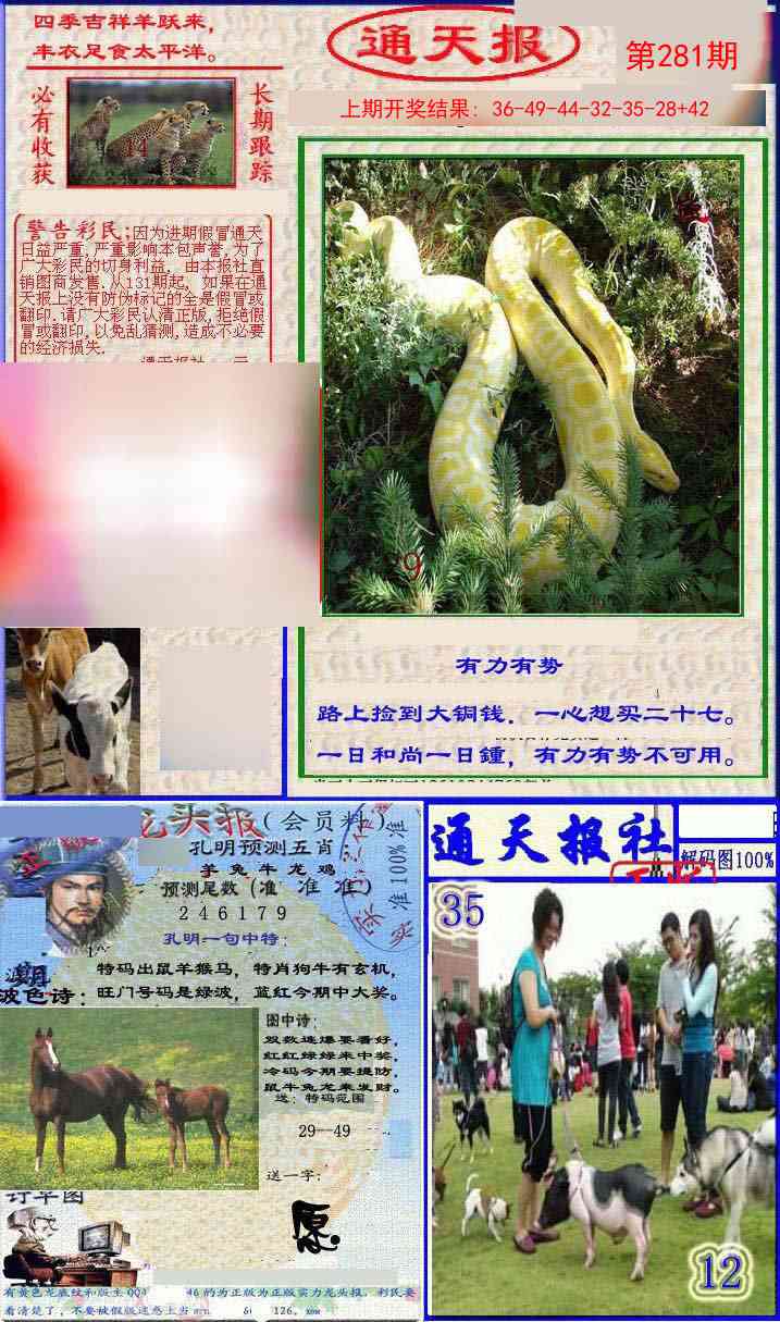 281期实力通天报[图]