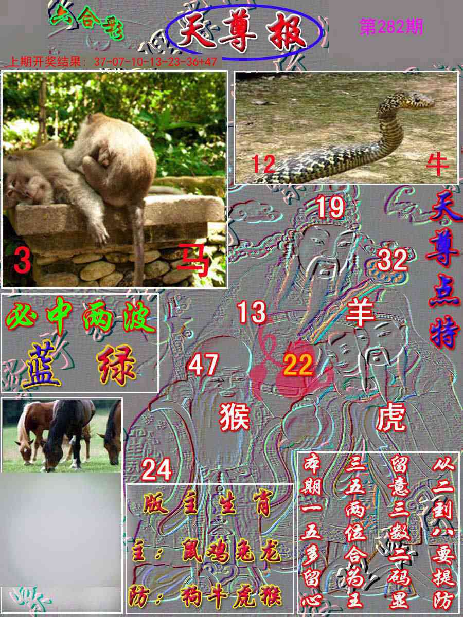 282期天尊报[图]