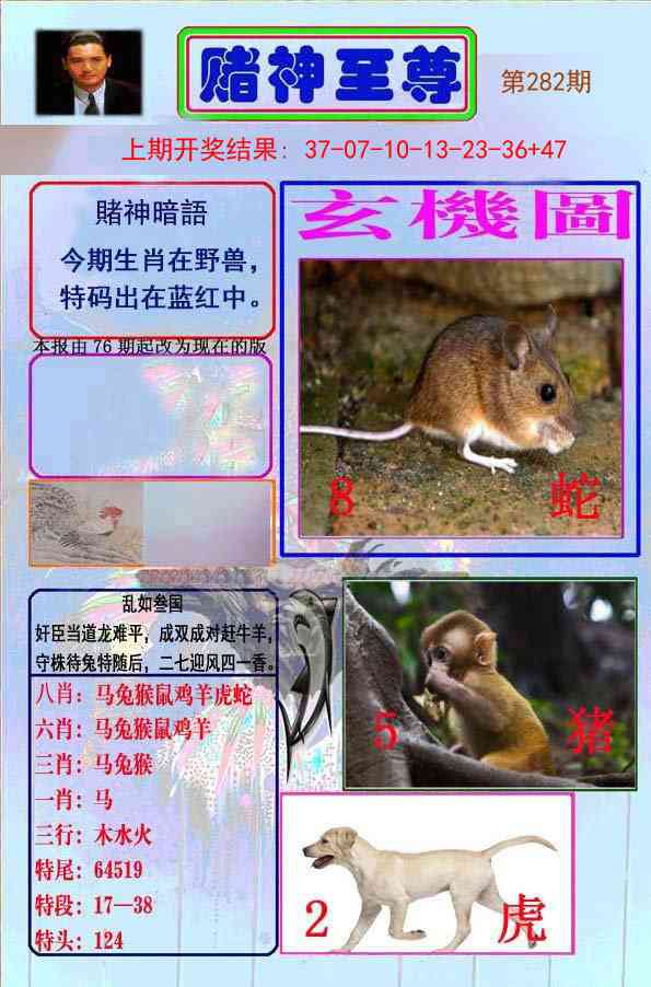 282期赌神至尊[图]