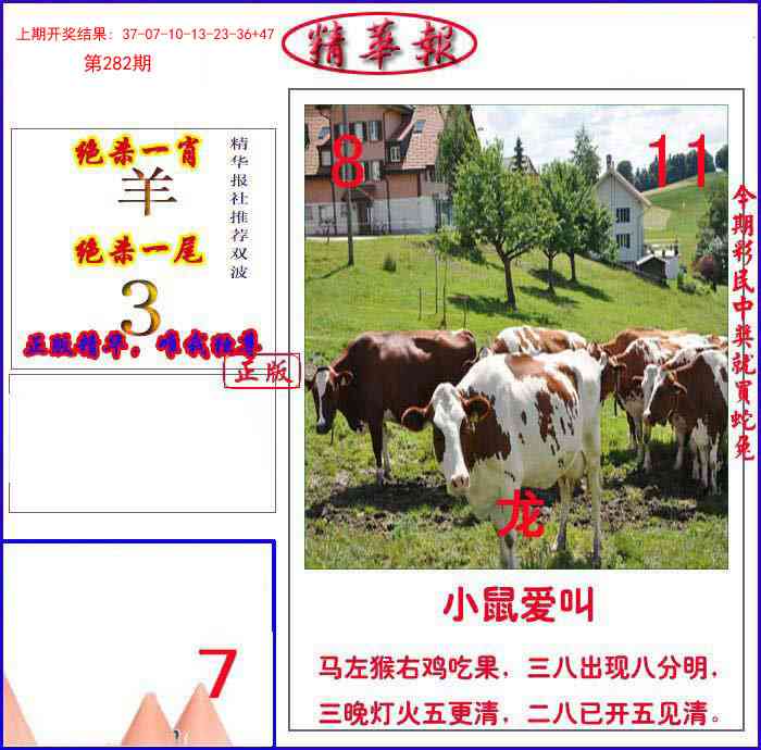 282期新精华报报[图]