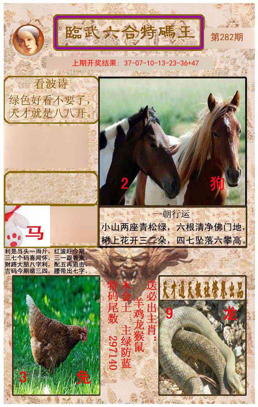 282期临武六合特码王[图]