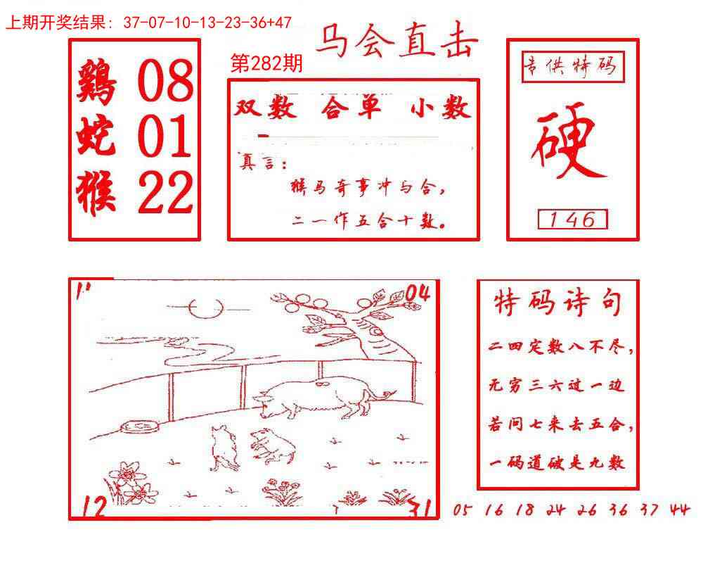 282期马会直击[图]