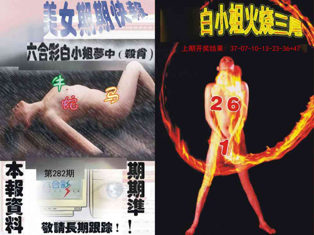 282期环球美女特码报[图]