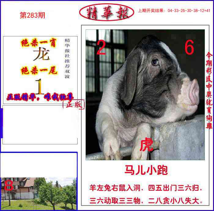 283期新精华报报[图]