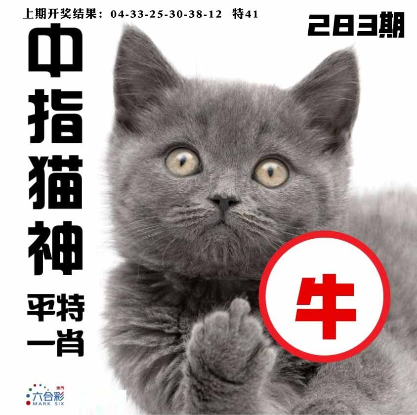 283期中指猫神[图]
