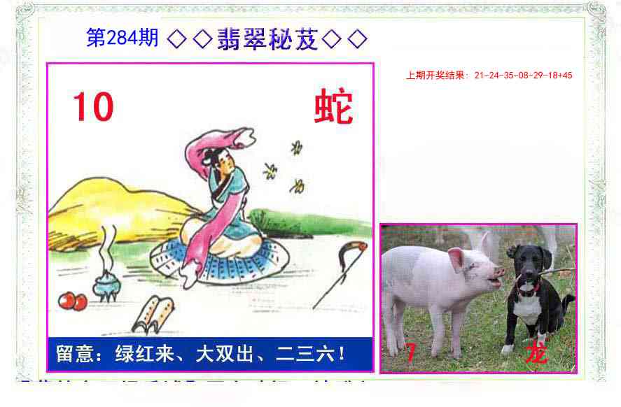 284期翡翠报[图]