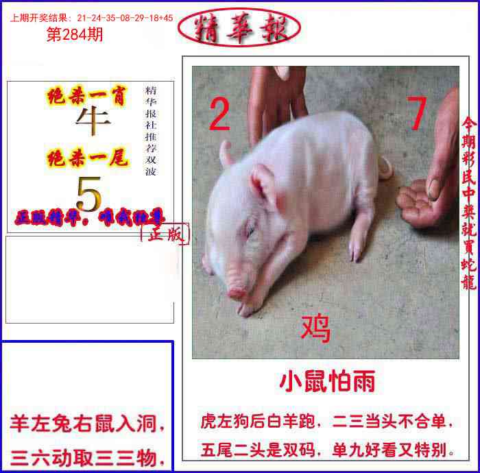 284期新精华报报[图]