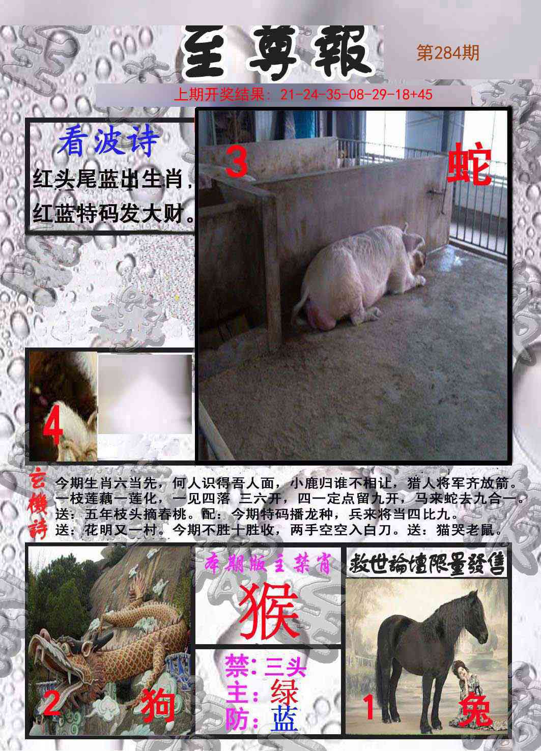 284期至尊报[图]