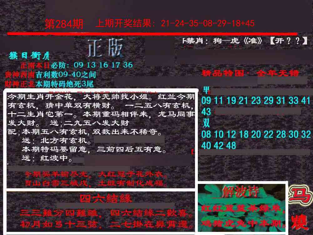 284期新港内幕[图]