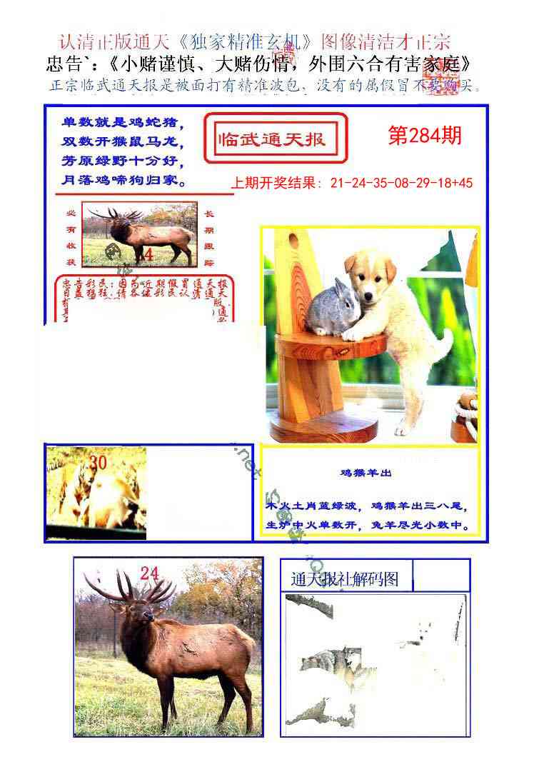 284期临武通天报[图]