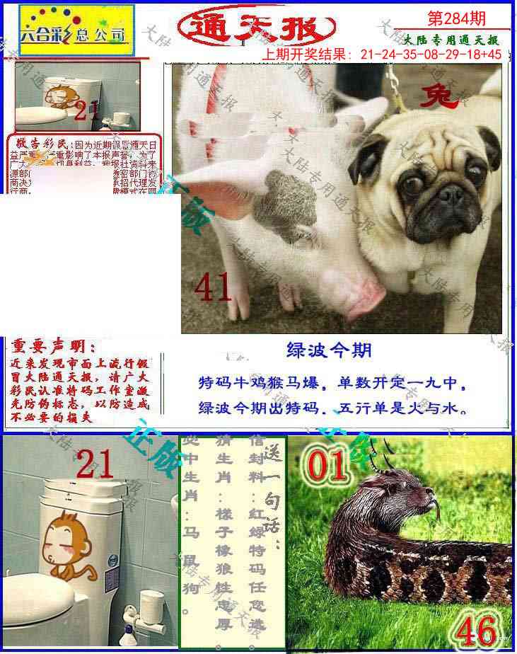 284期大陆通天报[图]