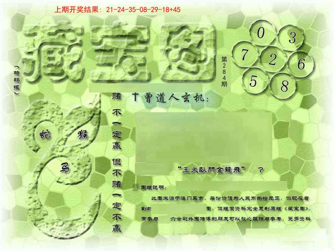 284期假新藏宝图[图]