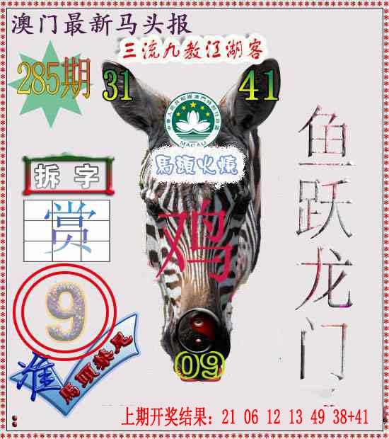 285期马头报[图]