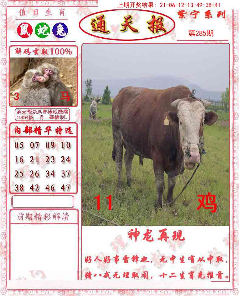 285期救通报[图]