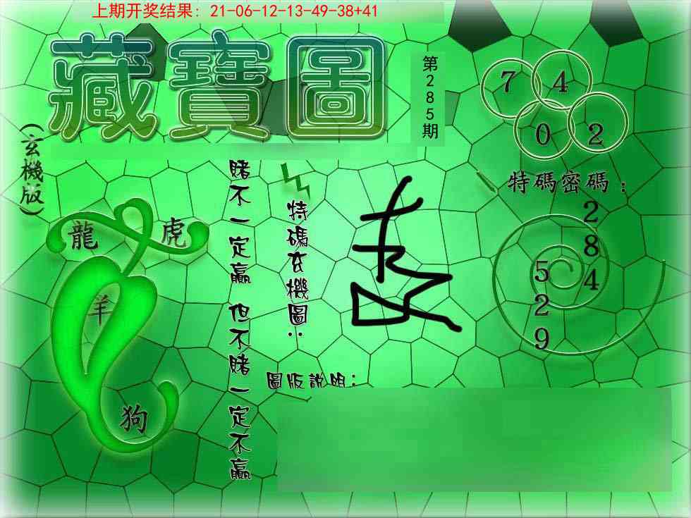 285期九龍玄机报[图]