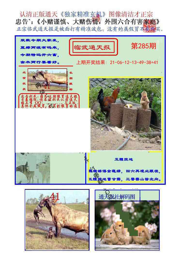 285期临武通天报[图]