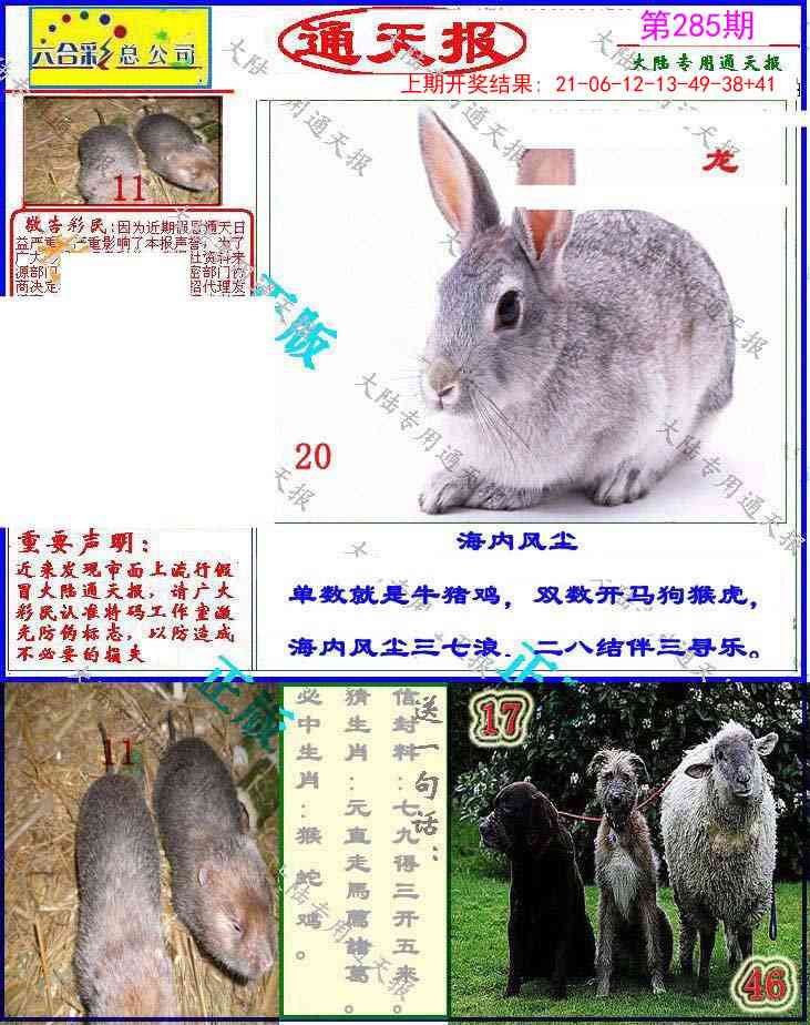 285期大陆通天报[图]