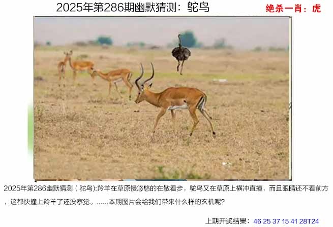 286期幽默猜测[图]