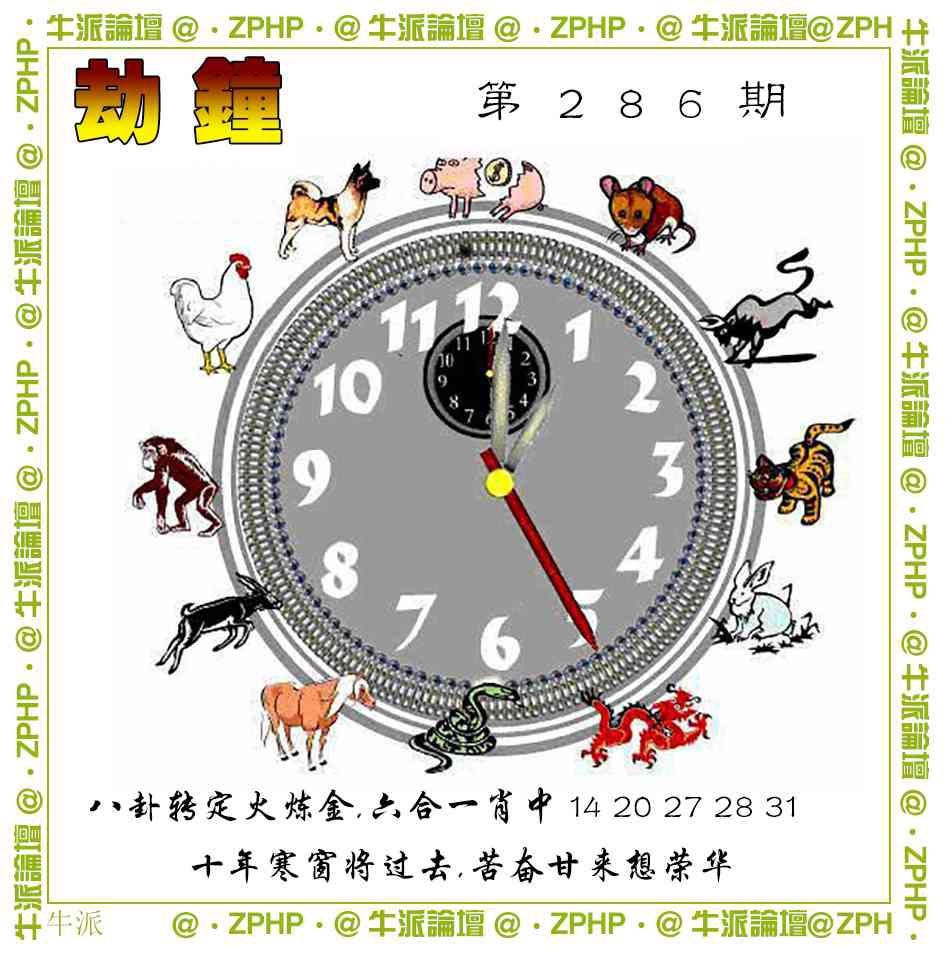 286期牛派系列4[图]