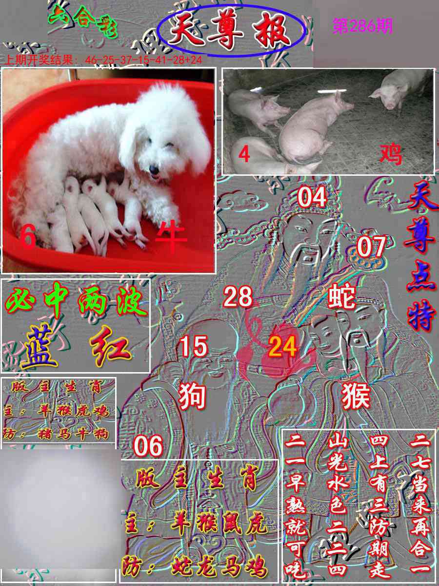 286期天尊报[图]