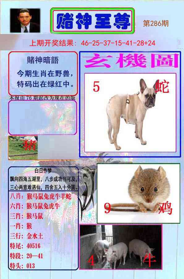 286期赌神至尊[图]