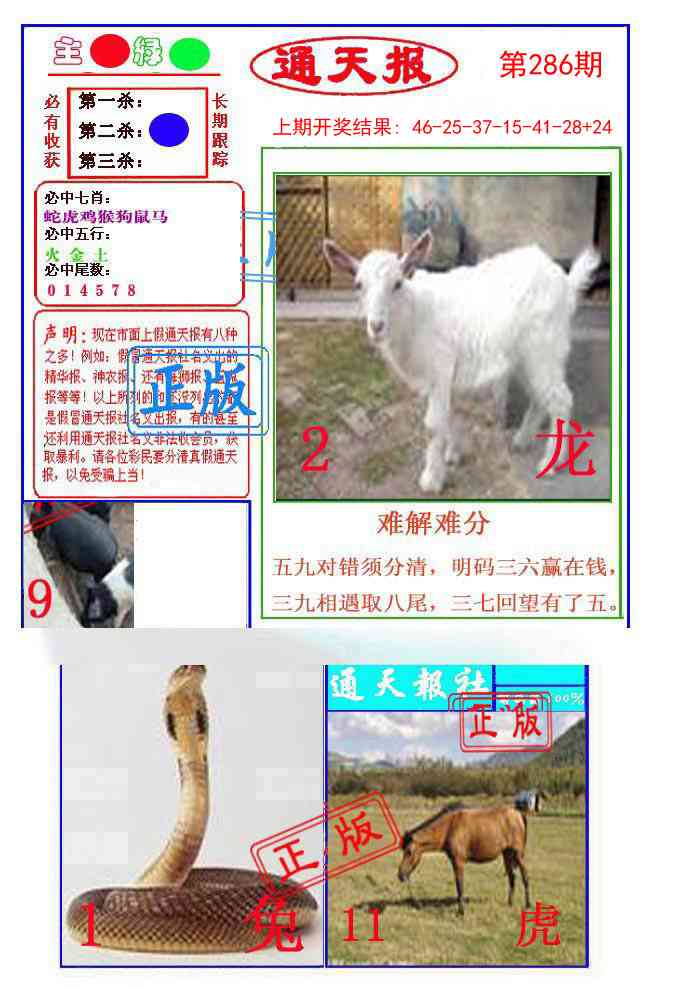 286期通天杀波图1[图]