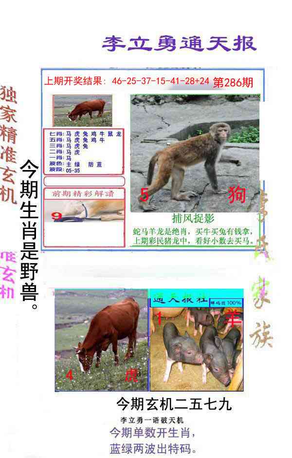 286期李立勇通天报[图]