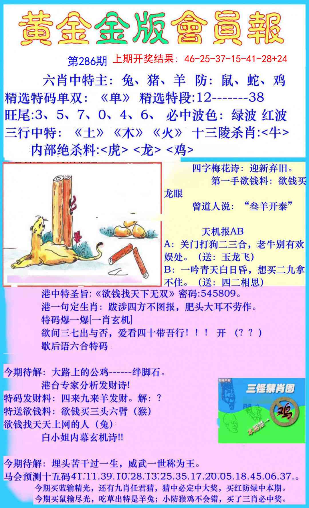 286期黄金金版会员报[图]