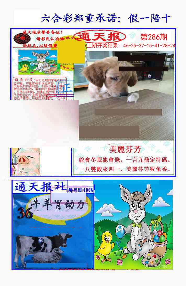 286期假一陪十通天报[图]