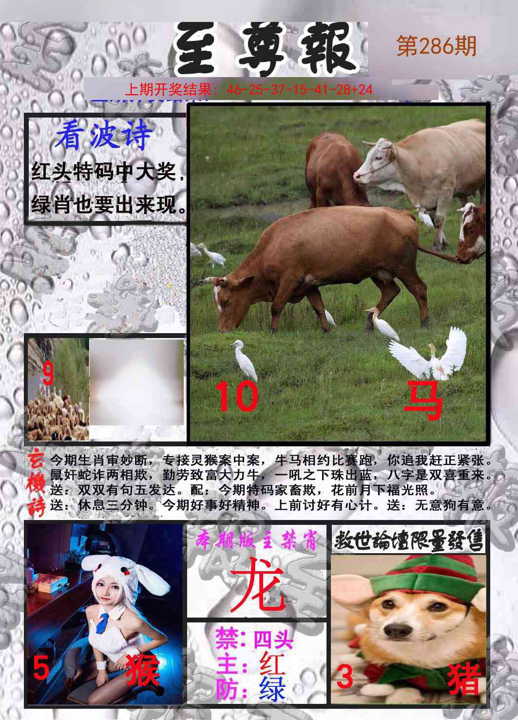 286期至尊报[图]