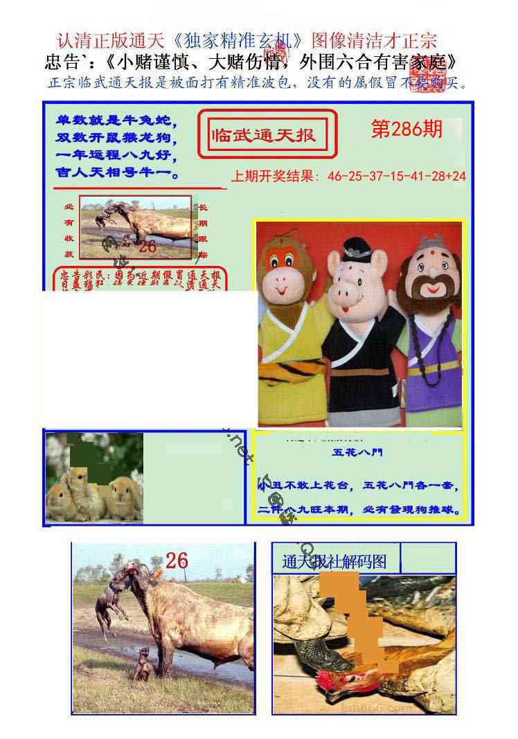 286期临武通天报[图]
