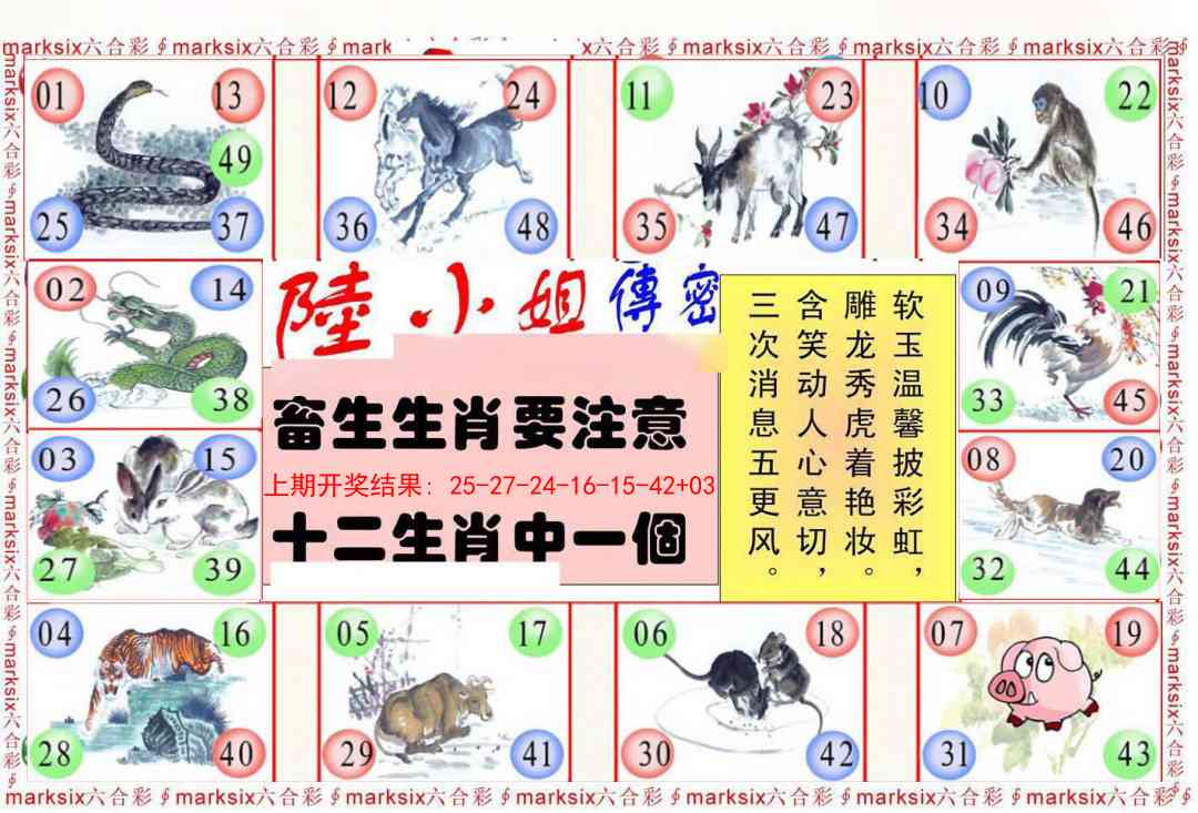 287期陆小姐传密B[图]